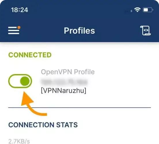 Изображение приложения OpenVPN