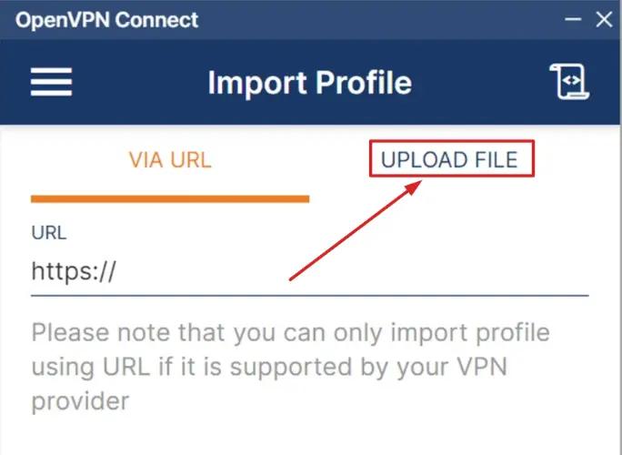 Изображение приложения OpenVPN